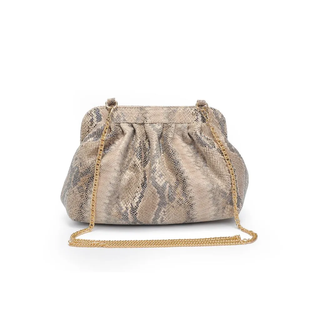 Remy Clutch